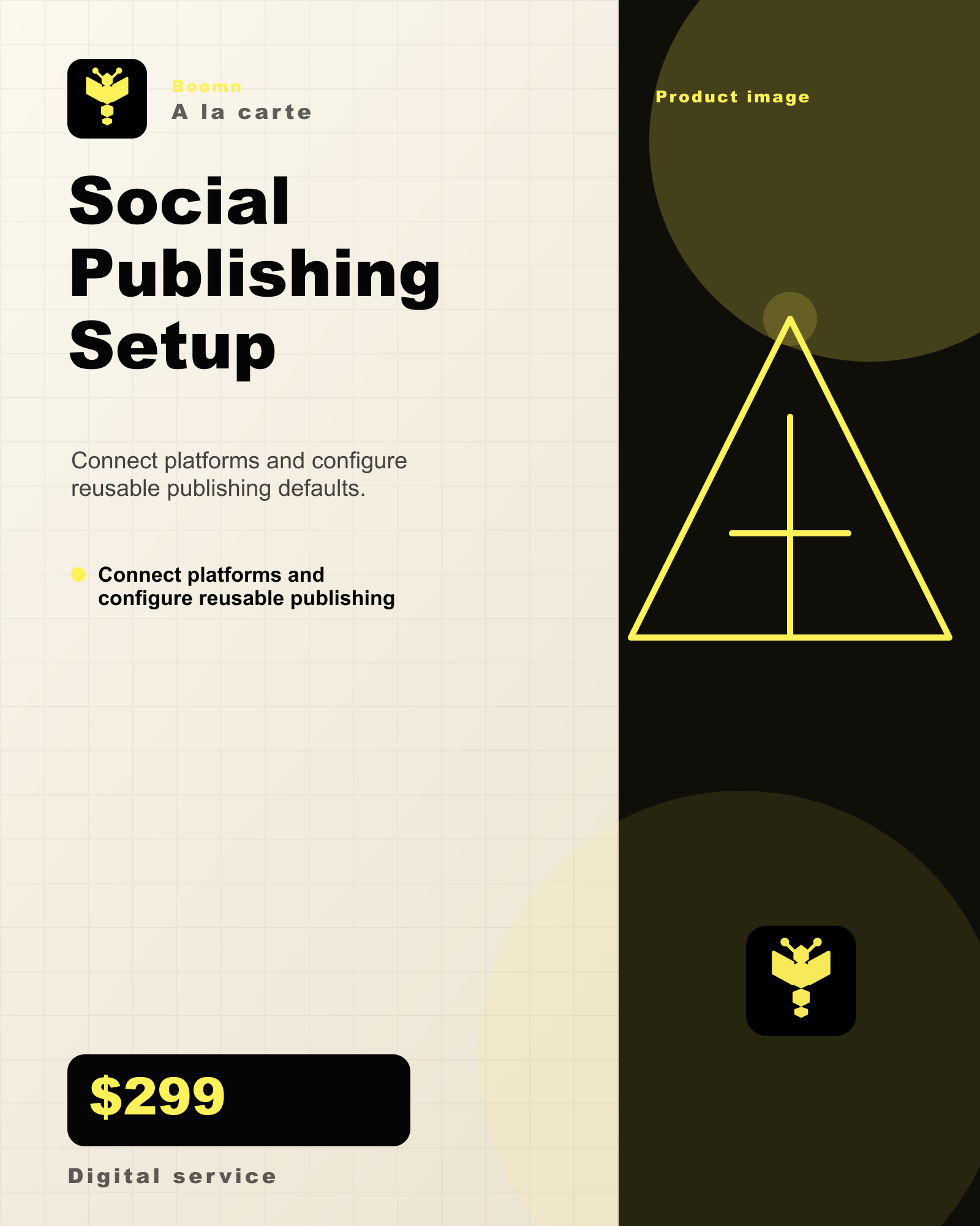 Boomn product image - Social Publishing Setup